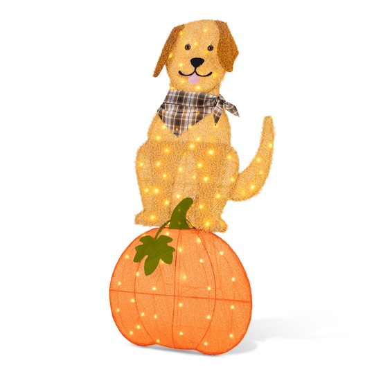 Glitzhome® 47" 2.5D Lighted Fall Labrador on Pumpkin Outdoor Decor with 90 Warm White LED Lights | 23" x 2.25" x 47" | Michaels®